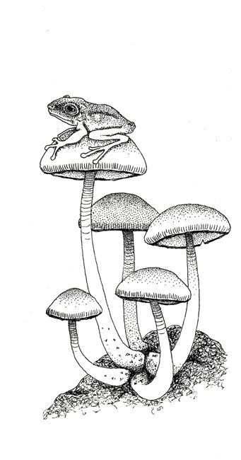 photo 2015 - inktober - frog and mushrooms 650x_zpsoi7qupd9.jpg