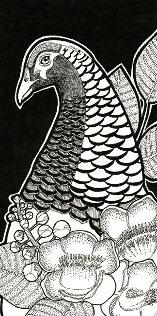 photo 2015 - inktober day 23 - lady amherst pheasant and shorea blossom 650x_zpsgiz6aies.jpg