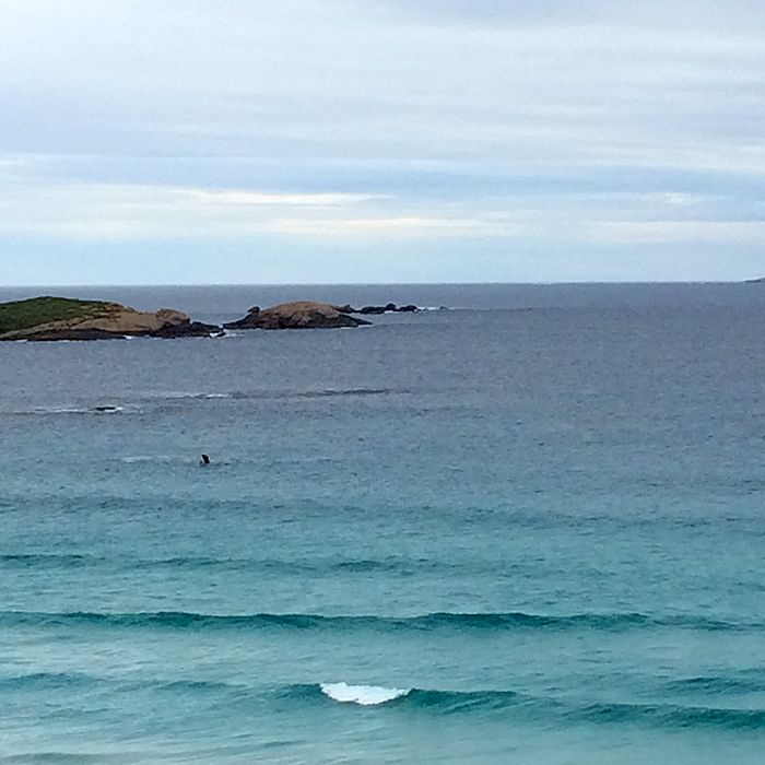 photo 2015 - eam - beach twilight 08 whales_zpse8lkgmue.jpg