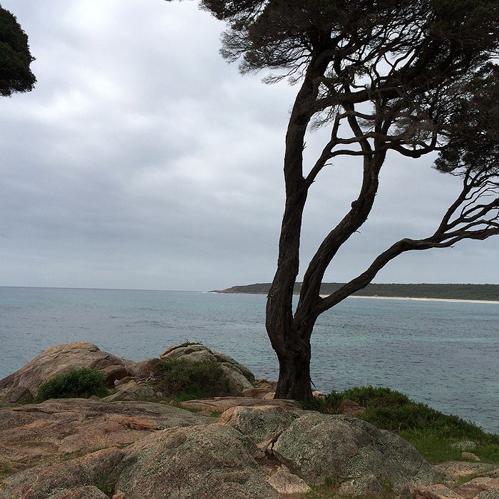 photo 2015 - eam - bunker bay 03_zps9b33vu96.jpg