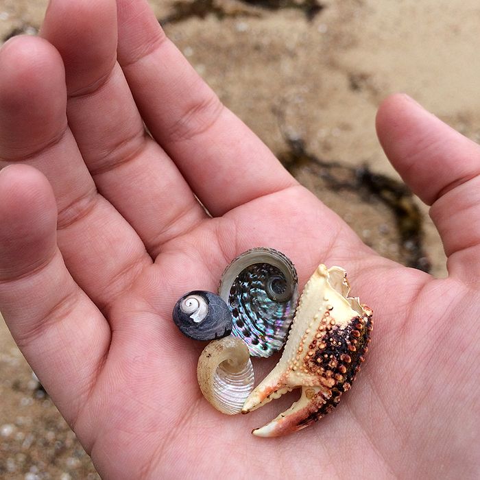 photo 2015 - eam - bunker bay 10 pia holds things_zpsczvhjrs6.jpg