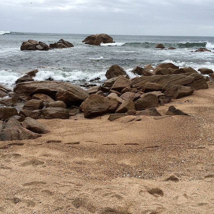 photo 2015 - eam - bunker bay 14_zps1ybcqdxf.jpg