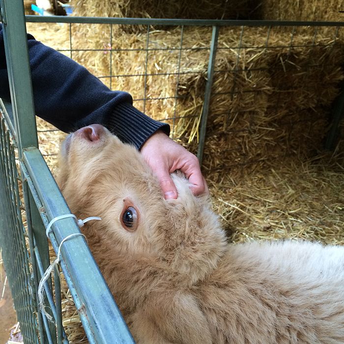 photo 2015 - eam - farm 06_zpsrmvqzp3u.jpg