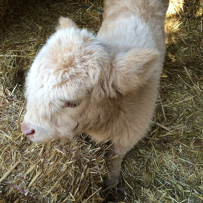photo 2015 - eam - farm 09_zpsnig8reup.jpg