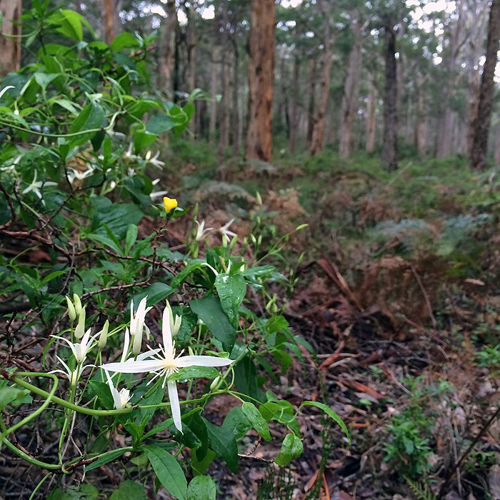 photo 2015 - eam - karri 12_zpsqxx6fegw.jpg