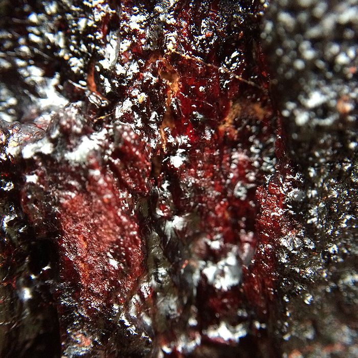 photo 2015 - eam - macro 08_zpsqcktlved.jpg