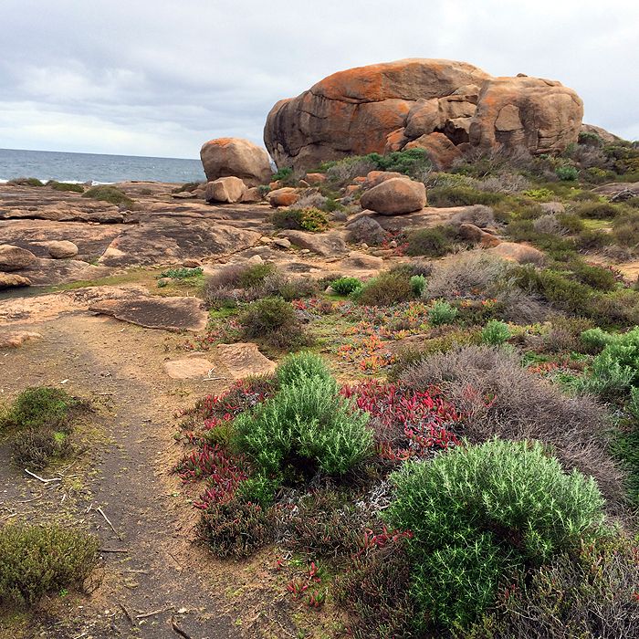 photo 2015 - eam - merchant rock 15_zpsakvflyxa.jpg