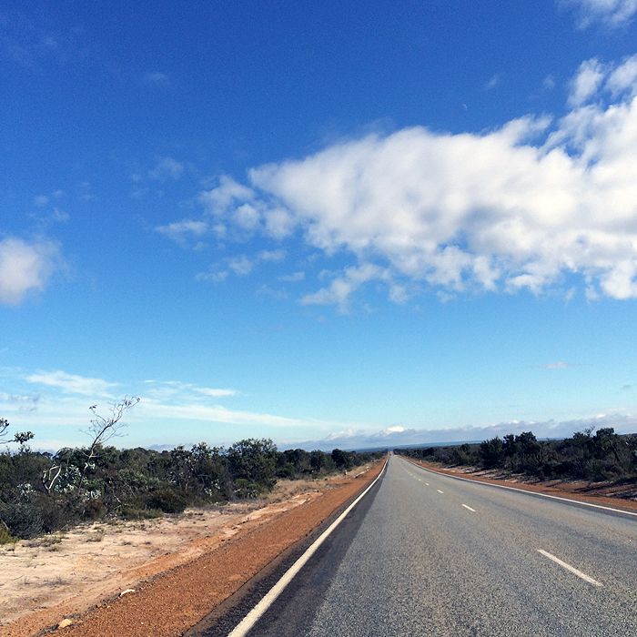 photo 2015 - eam - roadsides 12_zpsqntupx5y.jpg
