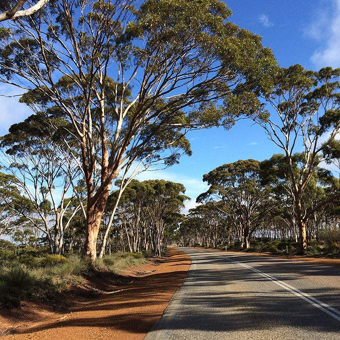 photo 2015 - eam - roadsides 13_zps29sz1zus.jpg