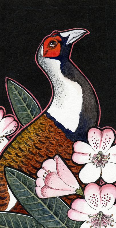 photo 2015 - colour - elliots pheasant and rhododendron 800x_zpsuqjihjhx.jpg