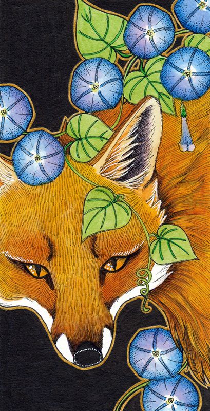 photo 2015 - colour - fox and morning glory 800x_zpsjvde0cii.jpg