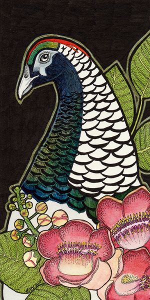 photo 2015 - colour - lady amhersts pheasant and shorea 600x_zpsauwurlvh.jpg