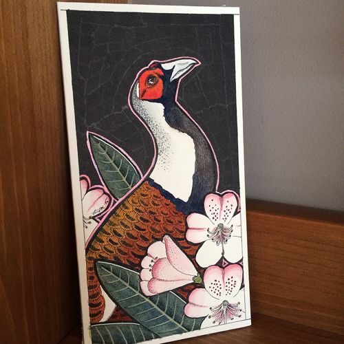 photo 2015 - colour photo - elliots pheasant 500x_zpskhobhdnq.jpg