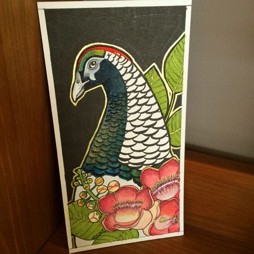 photo 2015 - colour photo - lady amhersts pheasant 500x_zpsfdrpymov.jpg