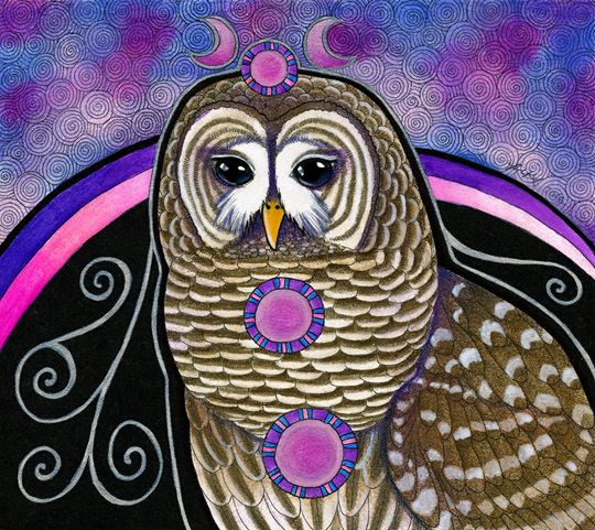 photo 2016 - Barred Owl 540x_zpst9d9lqvk.jpg