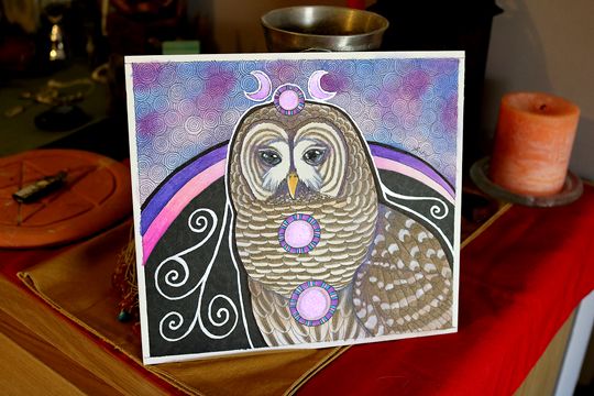 photo 2016 - Barred Owl as Totem Photo 01 540x_zpsae7e0meg.jpg