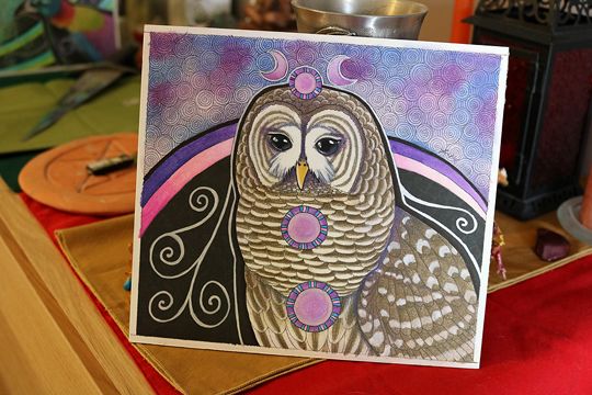 photo 2016 - Barred Owl as Totem Photo 02 540x_zpsd2honkmo.jpg