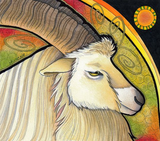 photo 2016 - Bilberry Goat 540xx_zpsytnsvxvn.jpg