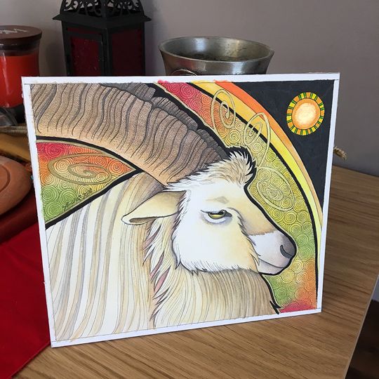 photo 2016 - Bilberry Goat Photo 03 540x_zpsme3gzpbx.jpg