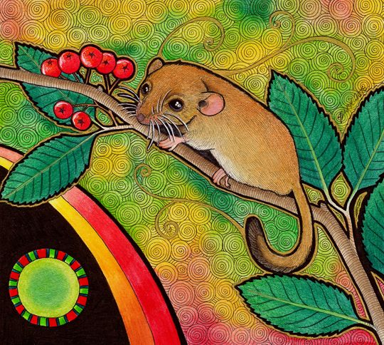 photo 2016 - Dormouse 540x_zpsbeuxnmfj.jpg