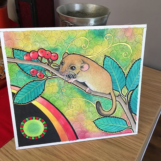 photo 2016 - Dormouse Original Photo 01 540x_zpsq2qe09wl.jpg