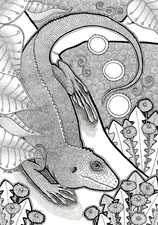 photo 2016 - Fiji Iguana and Dandelions BW 540_zpsilmnxo4r.jpg