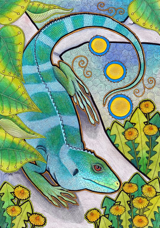 photo 2016 - Fiji Iguana and Dandelions Original 540x_zpsefwucjaq.jpg