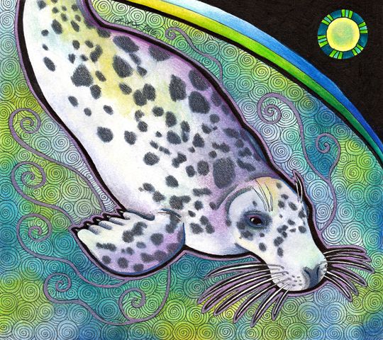 photo 2016 - Grey Seal 540x_zpssapsexqf.jpg