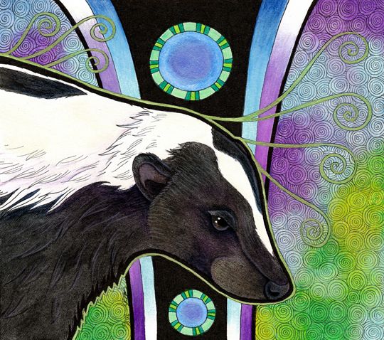 photo 2016 - Striped Skunk 540x_zpslk7vndud.jpg