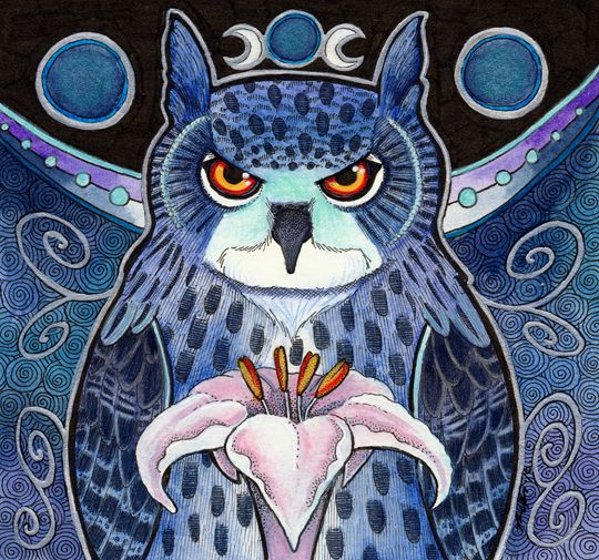 photo 2016 - The Midnight Eagle Owl Tumblr 540x_zpsv4vwlow7.jpg