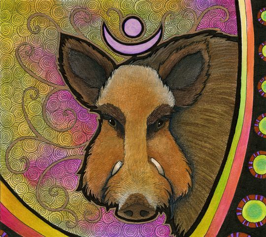 photo 2016 - Wild Boar 540_zps1e9minuq.jpg