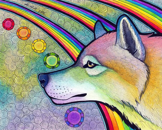 photo 2016 - Wolf series - Rainbow Wolf original 540x_zpszgkan3mr.jpg