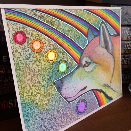 photo 2016 - Wolf series - Rainbow Wolf photo 01 540x_zpsojoqs1e4.jpg