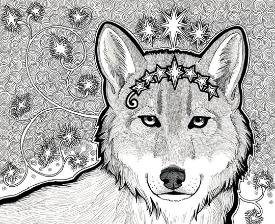photo 2016 - Wolf series - Star Wolf BW 540x_zpshpqyokef.jpg
