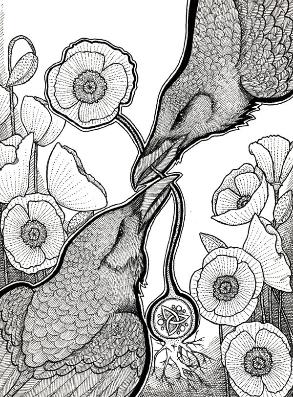 photo 2016 - the wisdom of the poppy BW 600x_zpsqbmm6iau.jpg