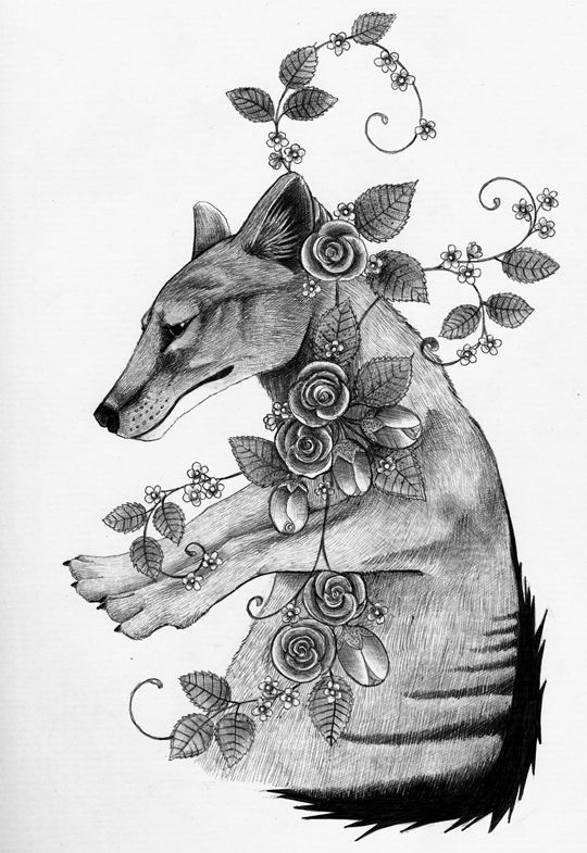 photo 2017 - Thylacine 540x Tumbles_zpsppdp3211.jpg
