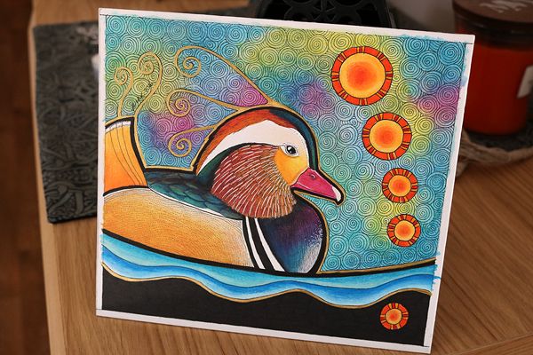 photo 2017 - Mandarin Duck as Totem Photo 01 600x_zps2mhlniaf.jpg