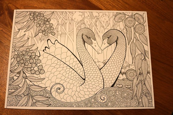 photo 2017 - art - wip greens swans 700x_zpsyatcr9nb.jpg