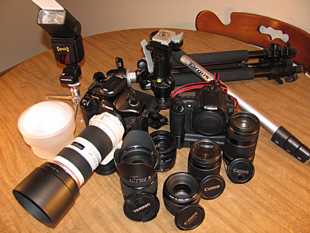 IMAGE: http://i1197.photobucket.com/albums/aa422/RamertPhotography/IMG_0243.jpg