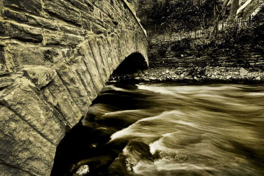 IMAGE: http://i1197.photobucket.com/albums/aa422/RamertPhotography/IMG_8602.jpg