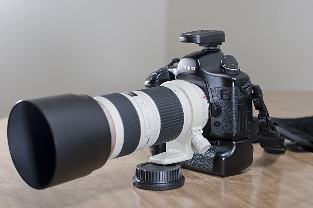 IMAGE: http://i1197.photobucket.com/albums/aa422/RamertPhotography/_MG_7747.jpg