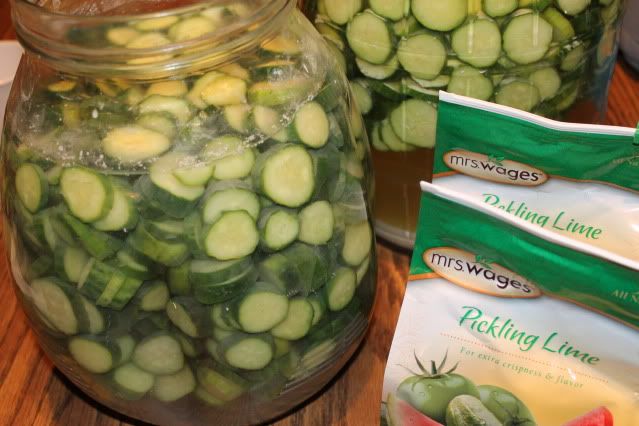 Cucumber Crisp Sweet Pickles Recipe