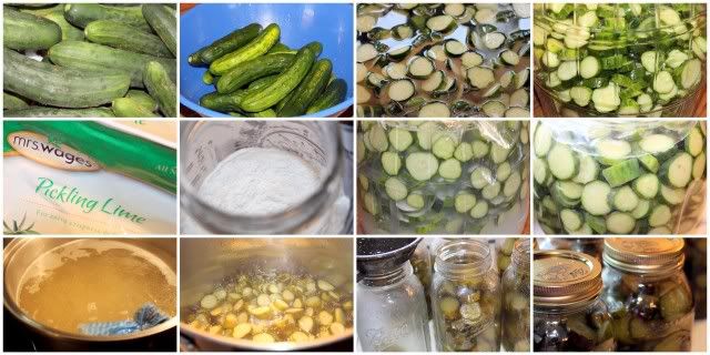 Cucumber Crisp Sweet Pickles Recipe