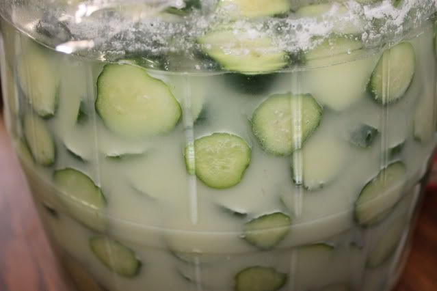 Cucumber Crisp Sweet Pickles Recipe