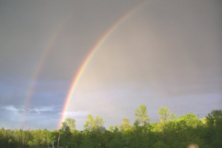 Please, someone send an new pic of the day thread! - Homesteading Questions