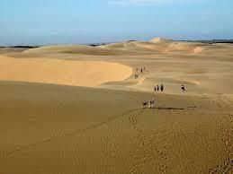 Los Medanos de Coro (Falcón, Venezuela) (1)