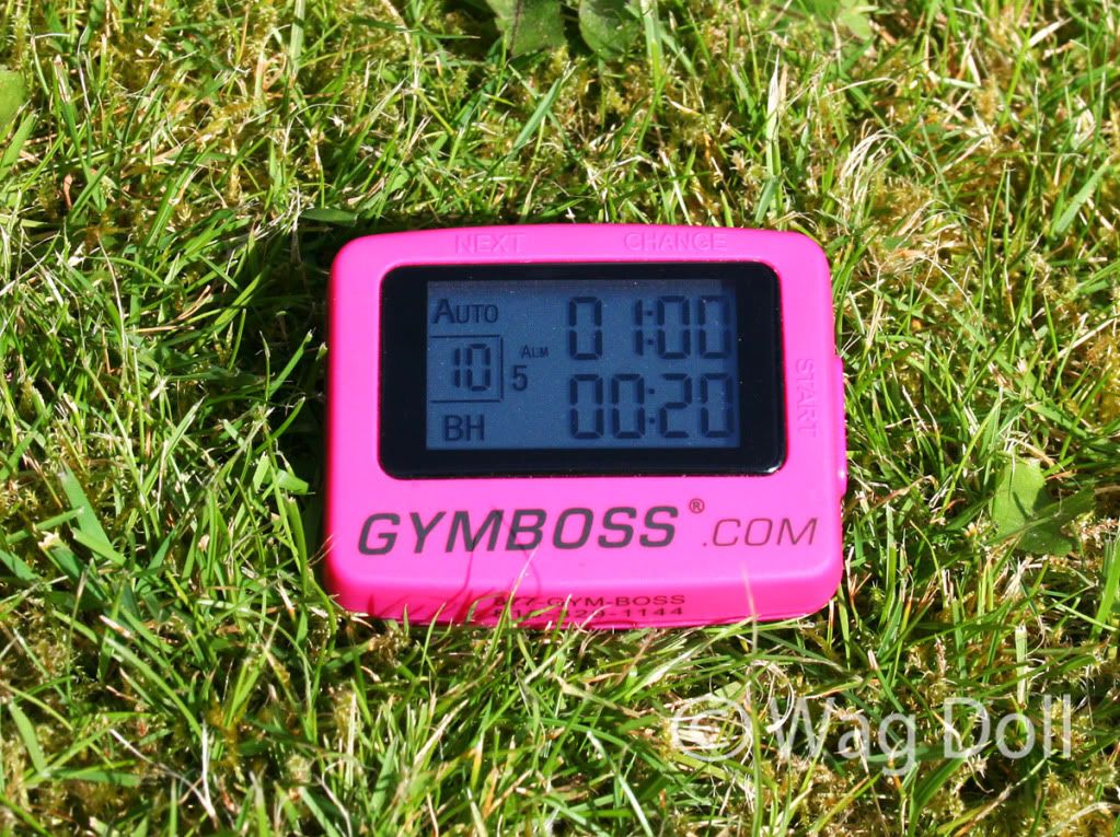 gymboss interval timer pink