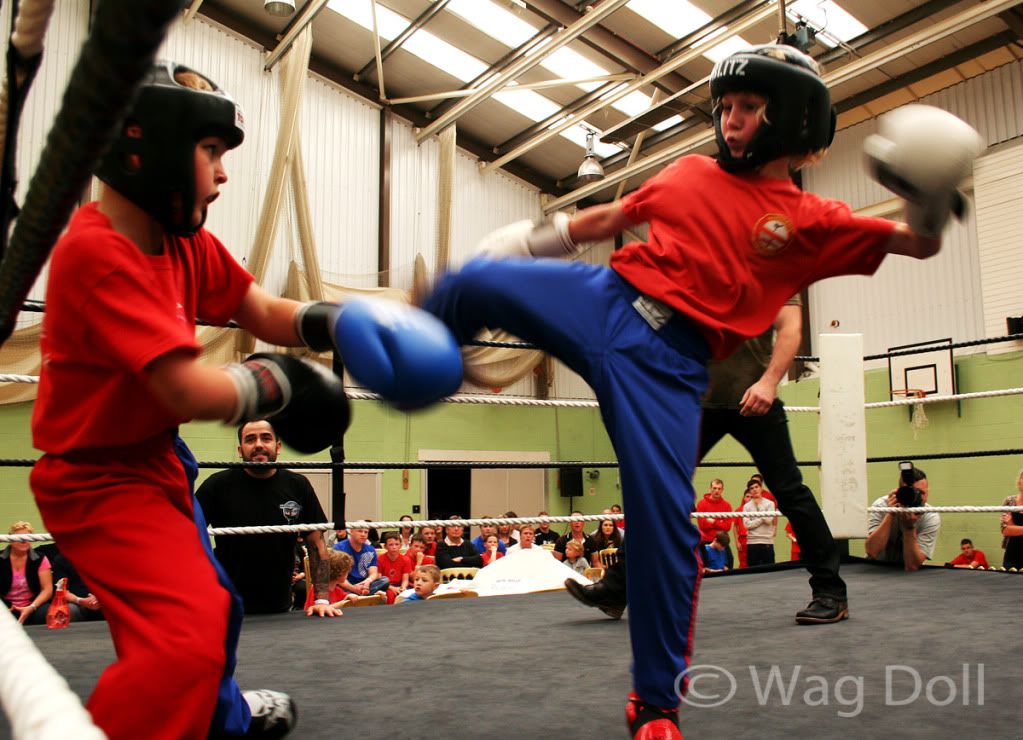 children kickboxing in ring