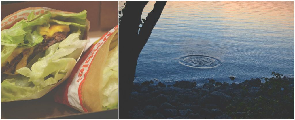 photo Collagevtdsbet.jpg