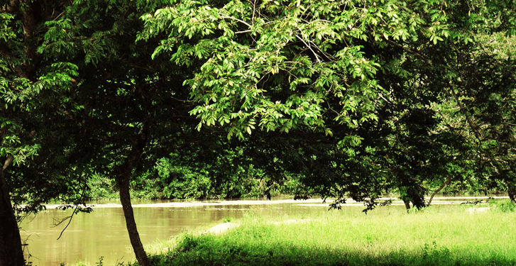 featured-5